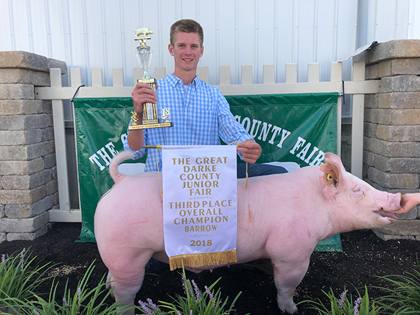 3RD OVERALL & CHAMPION YORKSHIRE – 2018 Darke County, OH
