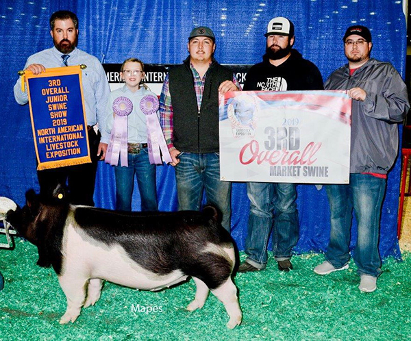 3RD OVERALL & RESERVE CROSSBRED –  2019 NAILE