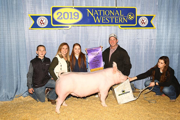 CHAMPION YORKSHIRE –  2019 National Western Stock Show