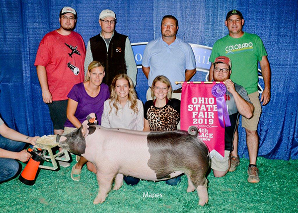 GRAND OTHER CROSS, 4TH OVERALL –  2019 Ohio State Fair Open Show,  CLASS WINNER – 2019 Ohio State Fair Jr Show