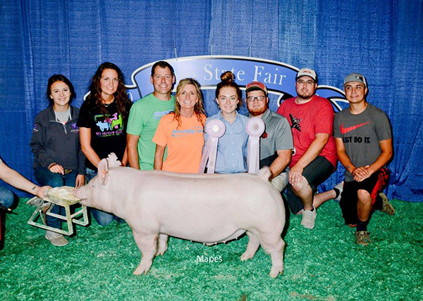 RESERVE YORKSHIRE –  2019 Open Show Ohio State Fair