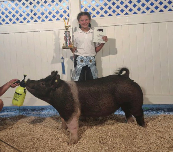 RESERVE HEAVYWEIGHT GILT – 2020 Henry County, OH