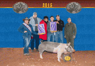 GRAND CHAMPION MARKET HOG – 2015 Star Livestock Show