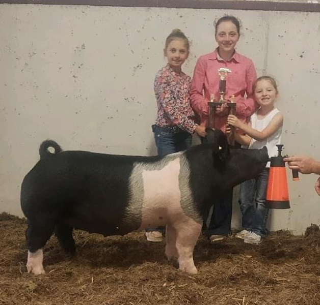 GRAND CHAMPION OVERALL – 2021 Crawford Co Open Show, OH