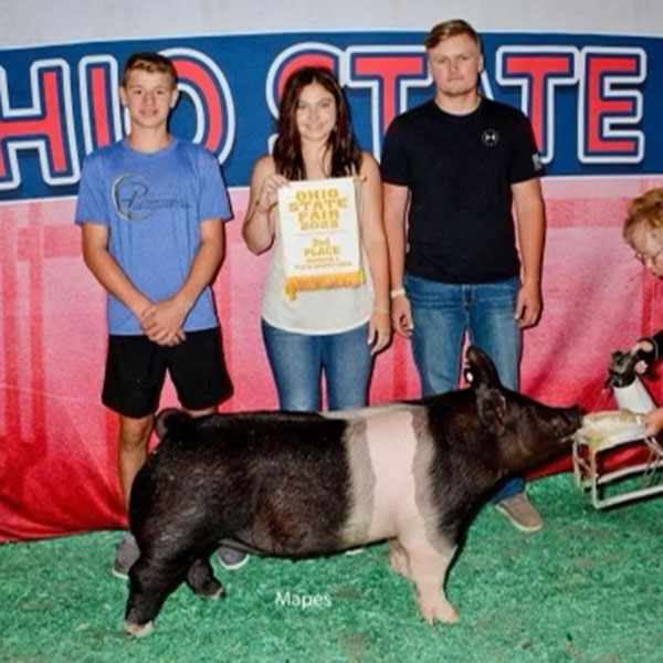 3RD OVERALL CROSS GILT DIVISION 3 – 2022 Ohio State Fair