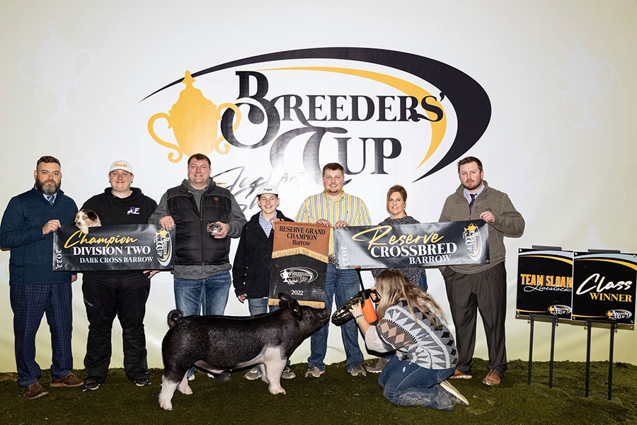 RESERVE GRAND CHAMPION BARROW – 2022 Breeders Cup Jackpot, IN