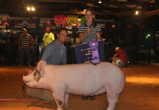 GRAND CHAMPION OVERALL – 2013 Stark County, OH