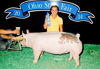 CLASS WINNER – 2014 Ohio State Open Show