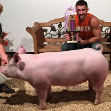 RESERVE GRAND CHAMPION JR SHOW – 2015 Henry County, OH