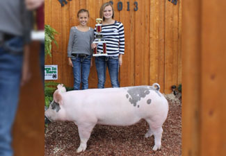 RESERVE HEAVY WEIGHT – 2013 Hocking County Fair