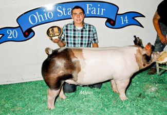 RESERVE HEAVY DARK CROSS & CLASS WINNER – 2014 Ohio State Jr. Show