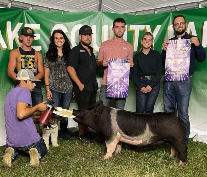 CHAMPION BARROW & RESERVE CHAMPION OVERALL – 2022 Lake County Fair, OH