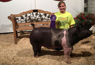 GRAND CHAMPION OPEN SHOW – 2015 Henry County Fair