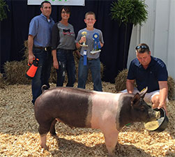 DIVISION 6 GRAND CHAMPION MARKET BARROW – 2017 Pike County, OH