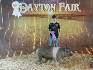 DIVISION CHAMP – 2017 Dayton Fair