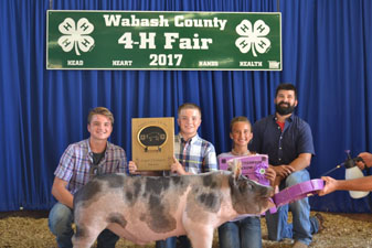 GRAND CHAMPION BARROW – 2017 Wabash County Fair