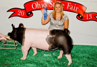 CLASS WINNER – 2013 Ohio State Fair Jr & Open Show