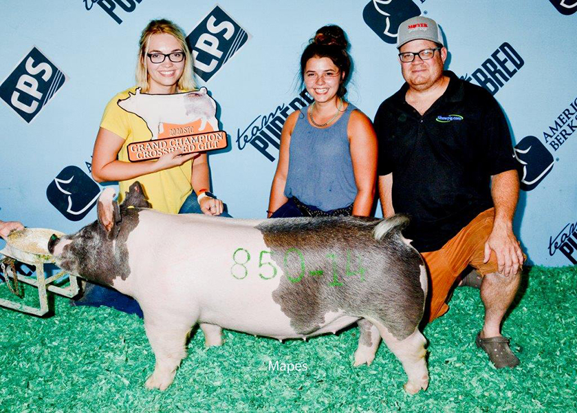 CHAMPION CROSS GILT SOLD FOR $5K – 2020 Open Show – CPS Summer Time Conference