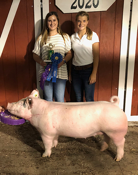 CHAMPION MIDDLEWEIGHT GILT – 2020 Fulton County, OH