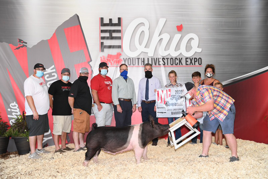 5TH OVERALL DARK CROSS, RESERVE CHAMPION DARK CROSS – 2020 Ohio Youth Livestock Expo