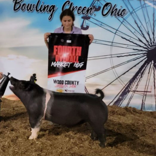 RESERVE GRAND CHAMPION BARROW, 4TH OVERALL MARKET HOG – 2022 Wood County Fair Open Show, OH