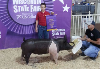 SUPREME CHAMPION GILT – 2013 Wisconsin State Fair Badger Classic Show Day #2