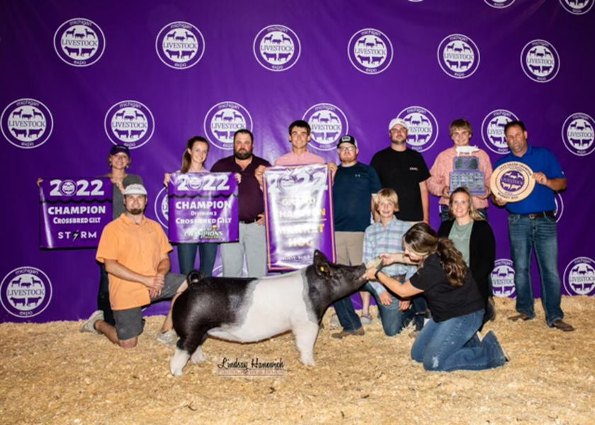 GRAND CHAMPION OVERALL, CHAMPION CROSS GILT- 2022 Michigan Livestock Expo