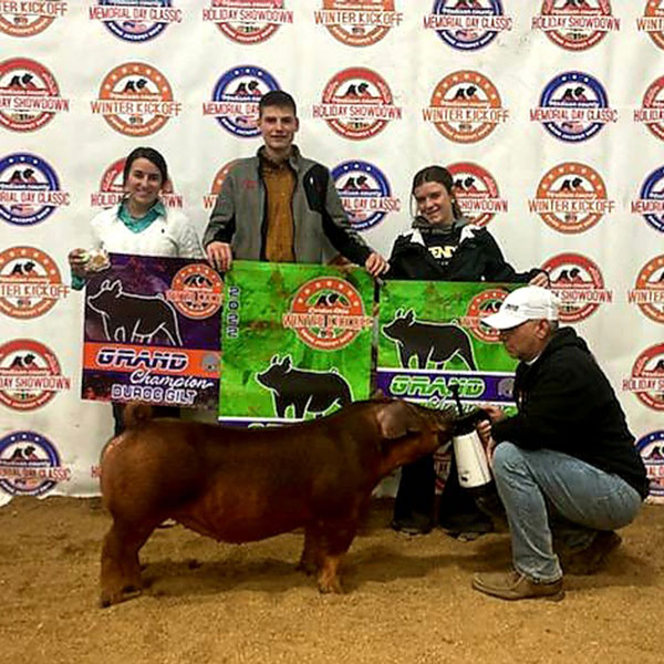 GRAND CHAMPION DUROC 3RD OVERALL RING A 10TH OVERALL RING B- 2022 Madison County Kickoff Jackpot, OH