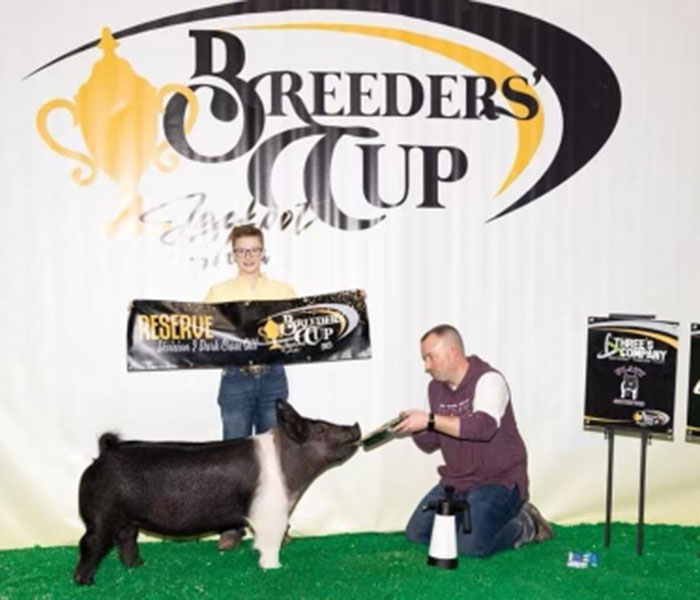 RESERVE CHAMPION DIVISION 2 DARK CROSS GILT – 2023 Breeders Cup Jackpot, IN