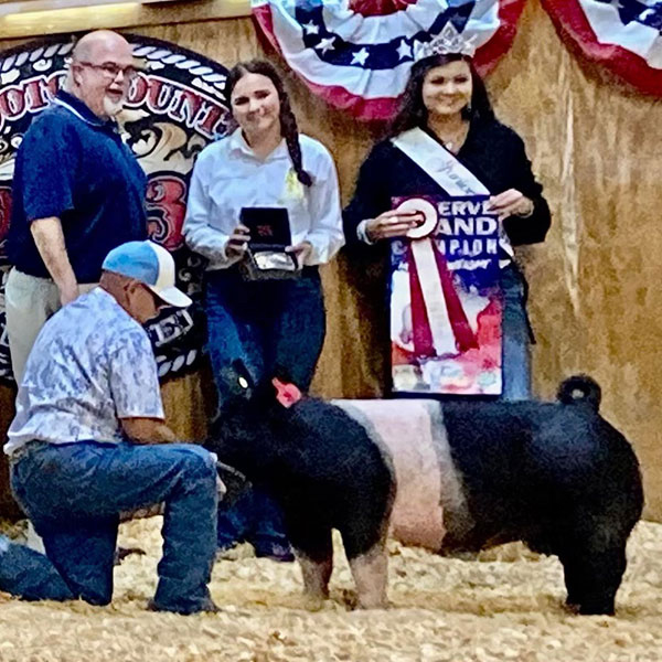 RESERVE MIDDLEWEIGHT CHAMPION – 2023 Desoto County Fair, FL