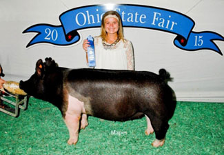 CLASS WINNER – 2015 Ohio State Fair