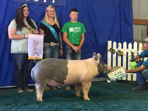 RESERVE OVERALL – 2017 Butler County, IA