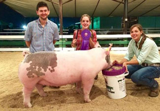 GRAND CHAMPION OVERALL – 2015 Stark County, OH