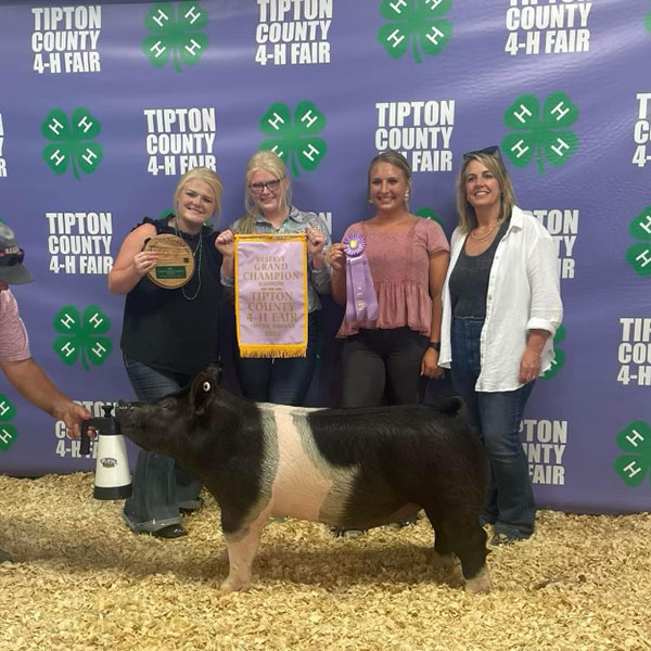 RESERVE OVERALL MARKET HOG – 2022 Tipton County Fair, IN