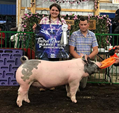 3RD OVERALL MARKET HOG – 2018 Harrison County, OH