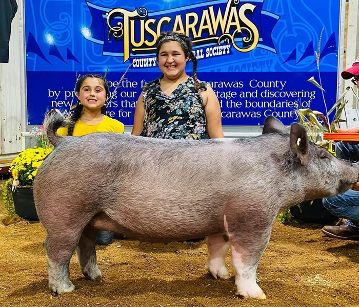 CHAMPION D7 AND 3RD OVERALL MARKET HOG – 2022 Tuscarawas County Fair, OH