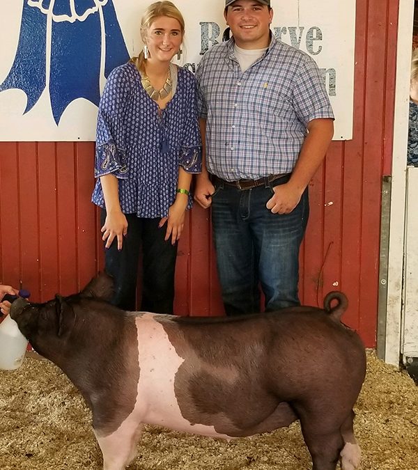 GRAND CHAMPION – 2018 Guernsey County Open, OH