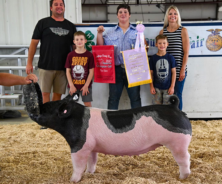 RESERVE GILT – 2021 Auglaize County, OH