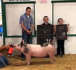 4TH OVERALL, 3RD OVERALL BORN & RAISED SHOW – 2020 Miami County Open, OH