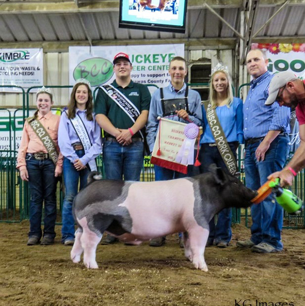 RESERVE GRAND CHAMPION – 2021 Tuscarawas County Fair, OH