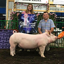 5TH OVERALL MARKET HOG – 2018 Harrison County, OH