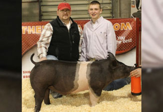 RESERVE CROSS BARROW & MANY TIME CHAMPION CROSS – 2013 Indiana Jr. Swine Circuit
