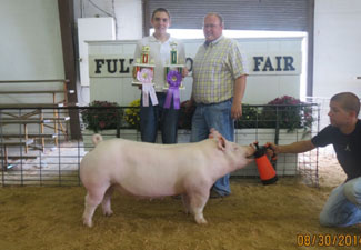 RESERVE OVERALL – 2014 Fulton County Fair, OH