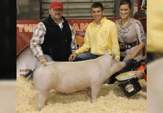 GRAND & RESERVE BARROW (MULTIPLE TIMES) – 2013 Indiana Jr. Swine Circuit