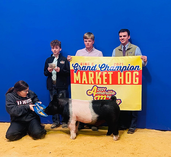 GRAND CHAMPION OVERALL – 2021 Amarillo By Morning Swine Expo
