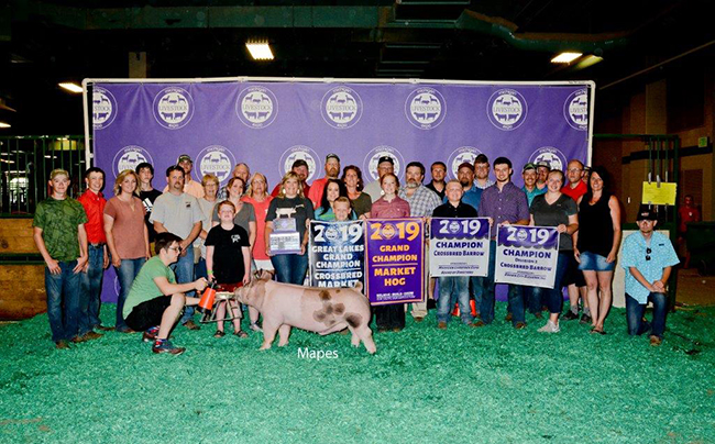 CHAMPION OVERALL, CHAMPION CROSSBRED BARROW – 2019 Michigan Livestock Expo