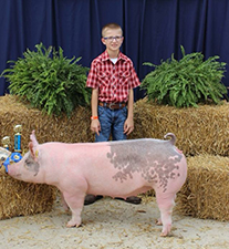CHAMPION DIVISION II GILT – 2018 Pike County, OH