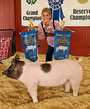 CHAMPION BRED & OWNED – 2018 Guernsey County, OH