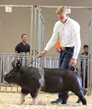 CHAMPION MIDDLEWEIGHT CROSS – 2018 Michigan Livestock Expo