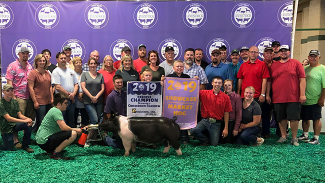RESERVE CHAMPION DIVISION 3, 7TH OVERALL SHOWCASE – 2019 Michigan Livestock Expo